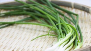 わさび菜の種まき 収穫までの育て方 栽培時期や病害虫の対策など 育て方labo 育て方ラボ