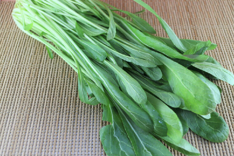 壬生菜(みぶな)の種まき〜収穫までの育て方！栽培時期や病害虫の対策など