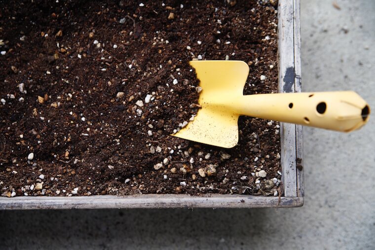 便培養から何が学べるでしょうか?